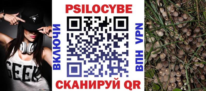 наркота  мега маркетплейс  Галлюциногенные грибы Magic Shrooms  Ладушкин 